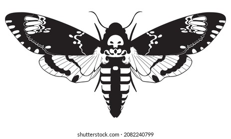 Abstract the death's head hawk moth, Acherontia atropos butterfly black and white illustration.