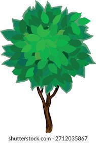 Abstractas árbol caducifolio con corona verde en estilo de dibujos animados aislado sobre fondo blanco	