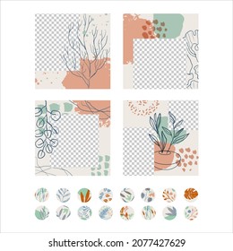 Decoración abstracta con plantas. Un conjunto de flores manchadas al estilo boho. Plantillas creativas para redes sociales