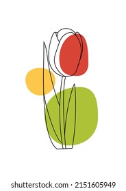 Abstract decorative background poster with tulip flower and geometric shapes. Poster for print, cover, wallpaper, minimal and natural wall art in boho style.