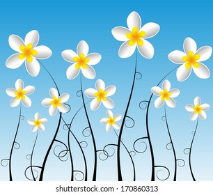 Abstract Decorative Frangipani Flowers vector illustration