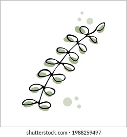 Resumen de elementos decorativos y gráficos. Icono de ramas dibujadas a mano, garabato para la historia de los medios sociales. Cuidados detalles de hierbas para la decoración de diseño. Vector aislado sobre fondo blanco con salpicaduras de color verde claro.