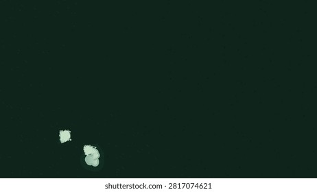 Abstract deep green grunge background with subtle scattered speckles and small pale paint splashes near the lower edge