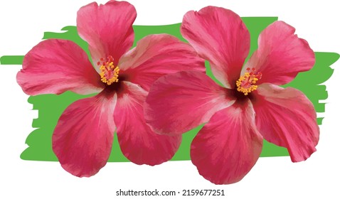 Abstract Deep yellow Chinese Rose flower. (Scientific name Hibiscus rosa-sinensis)