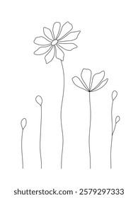 Abstract delicate flowers, buds on a stem, hand-drawn line, isolated on white, vector. A set of flowering plants, contour drawing. Botanical illustration for decoration, holiday, postcard, wedding