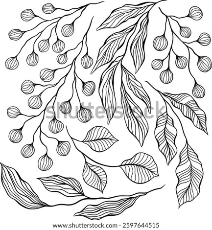 Abstract Delicate Line Art Leaves and Berries, Hand Drawn Botanical Black and White Fine Line Art, Intricate Details Isolated Vector Set
