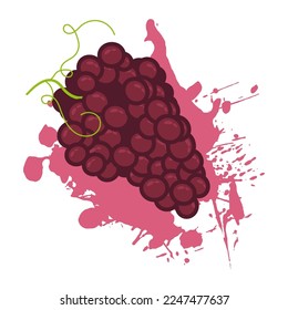 Abstract delicious bunch of grapes with tendrils. Summer exotic bunch of grapes background of splashes of juice. Cartoon vector isolated on white background