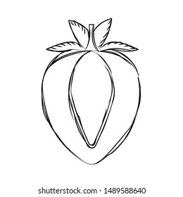 abstract delicious fruit drawing on a white background, vector illustration design