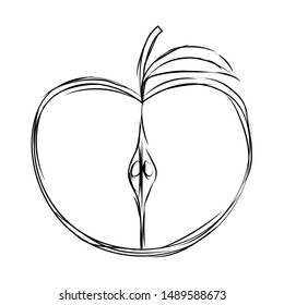 abstract delicious fruit drawing on a white background, vector illustration design