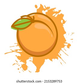 Abstract delicious juicy apricot. Summer peach fruit against background of splashes of fruit nectar. Cartoon vector isolated on white background