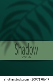 Abstract design for banner or cover in green tones with a shadow from the leaves.