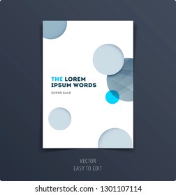 Abstract design brochure in modern style, creative catalog, flyer in A4 with grey blue circles for branding, presentation, marketing kit. Business vector cover