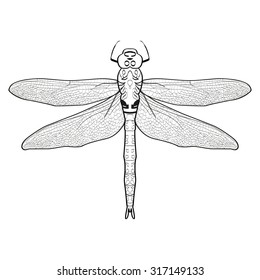 Abstract design dragonfly. Insect with wings. drawn dragonfly. Dragonfly isolated on white background. Vector illustration