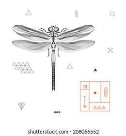 Abstract design dragonfly. Vector. Isolated on a white background.
