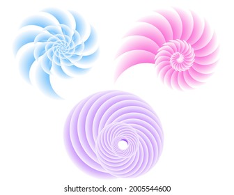 Abstract design element on white background of twist lines. Vector Illustration eps 10 Golden ratio traditional proportions vector icon beauty salon, for elegant business card,  background event party