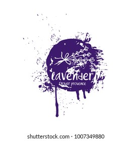 Abstract design lavender in splash color brush stroke. Vector illustration