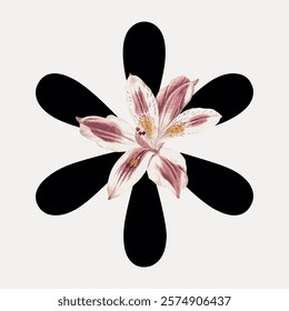 Abstract design with a pink and white flower centered on a black asterisk shape. The flower adds a natural touch to the geometric black asterisk design. Vintage illustration isolated on white, vector.