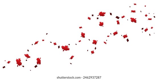 Abstract design with red maple leaves floating in the air on white background.