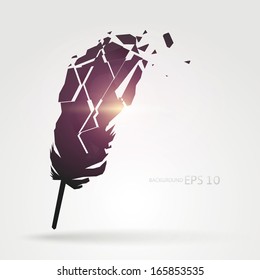 Abstract destroy Feather vector.