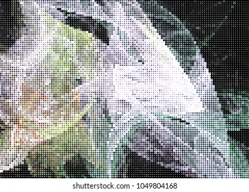 Abstract digital background. Circles, dots. Vector clip art.