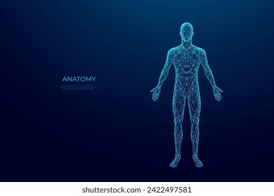 Abstract digital human body. Polygonal wireframe silhouette. Low poly anatomy blue background. Technology futuristic man or woman model. 3D vector illustration consists of thin lines, connected dots.
