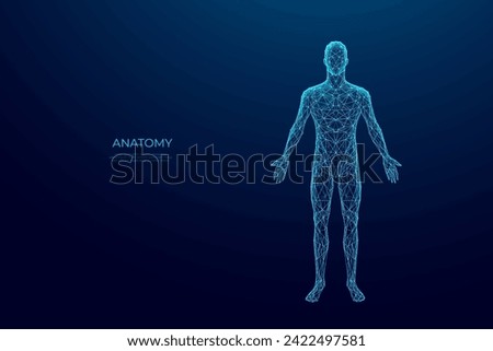 Abstract digital human body. Polygonal wireframe silhouette. Low poly anatomy blue background. Technology futuristic man or woman model. 3D vector illustration consists of thin lines, connected dots.