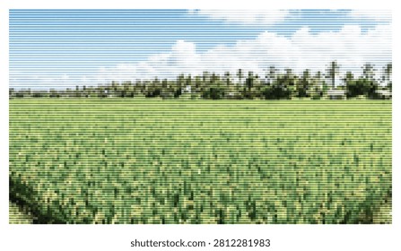 Abstract digital pattern consisting of thin horizontal lines overlaid on a scenic view of lush green agricultural fields and distant palm trees under cloudy blue sky.