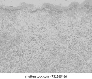 Abstract distress floor, gray background, grunge, cement or concrete wall textured. Vector illustration design with copy space.