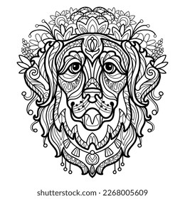 Abstract dog with decorative ornaments and doodle elements. Close up golden retrieverdog head. Vector illustration. For adult antistress coloring page, print, design, decor, T-shirt, emblem, tattoo