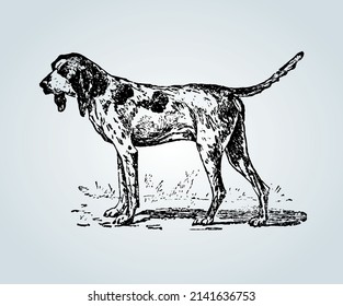 Abstract dog with shading techniques for illustration