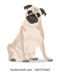 Abstract dog vector illustration.  Pug sit on the white background.