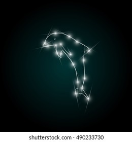 Abstract Dolphin background