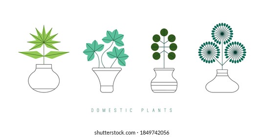 Abstract Domestic plants. Flower pots. Minimalistic elegant icons. Colored Vector set. Flower shop concept. Simple geometric design. Trendy illustration. Every icon is isolated on white background