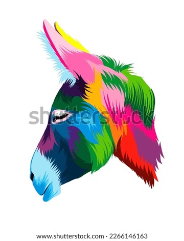 Abstract Donkey head portrait from multicolored paints. Colored drawing. Vector illustration of paints