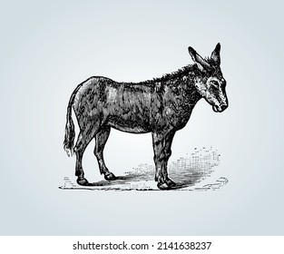 Abstract donkey with shading techniques for illustration