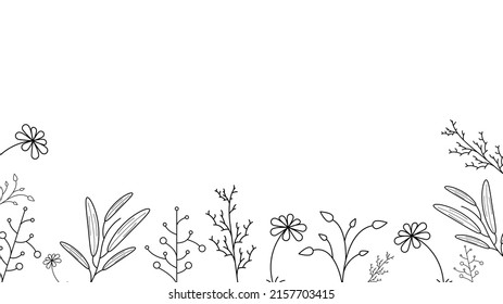 Abstract Doodle Background Nature Summer Elements Hand Drawn Collection Botanic Herbal Flora Leaf Branch Vine Flower Plant Elements Vector Desgin Style