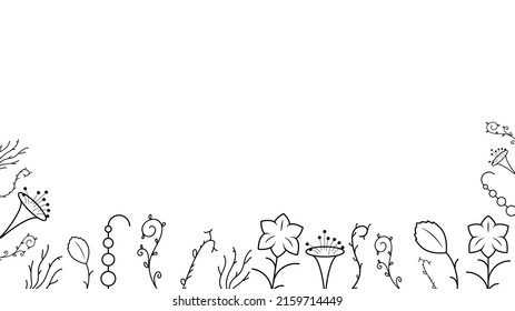 Resumen Fondo de Doodle Naturaleza Elementos de verano Colección Dibujado Mano Flora de hierbas Botánicas Rama de hojas Vino Elementos de la planta de flores Vector Estilo