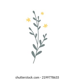 Abstract doodle branch graphic isolated on white background. Hand drawn vector illustration. Design elements