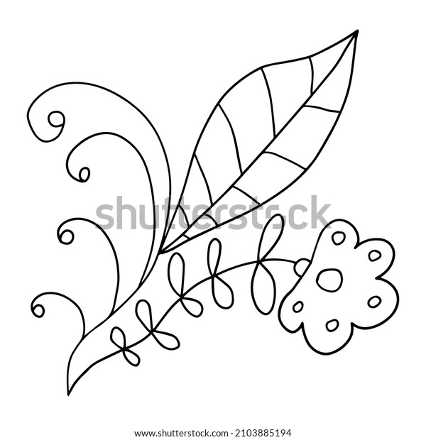 Abstract doodle cartoon floral
divider isolated on white background. Sprouts with leaves and
berries.