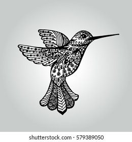 Abstract doodle humming-bird. Wildlife collection. Vector illustration