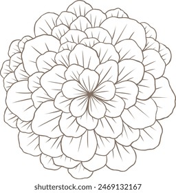 Abstract doodle mandalas illustration for decoration on nature and floral concept.