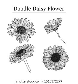 abstract doodle shading daisy flower monochrome vintage retro wedding invitation ornament decoration background template vector illustration