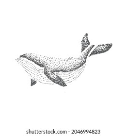 Abstract Dots Sketch of Aquatic Animal Whale with Black Ink - Vector Illustration for Graphic Design, Poster, Prints and Wallpapers.