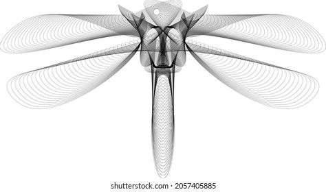 abstract dragonfly on white background