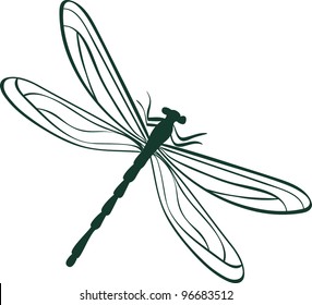 abstract dragonfly. Abstract vector illustration