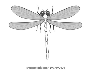 Abstract drawing of a cute dragonfly on a white background. Vector design.