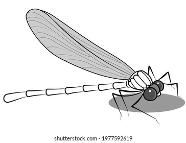 Abstract drawing of a cute dragonfly on a white background. Vector design.