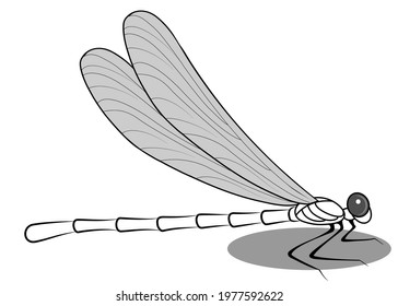 Abstract drawing of a cute dragonfly on a white background. Vector design.