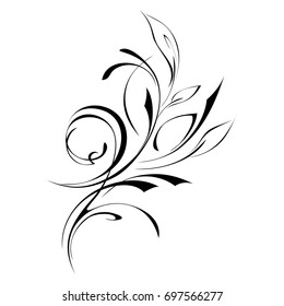 abstract drawing with foliage in black lines on a white background