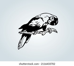 abstract drawing of a parrot for illustration